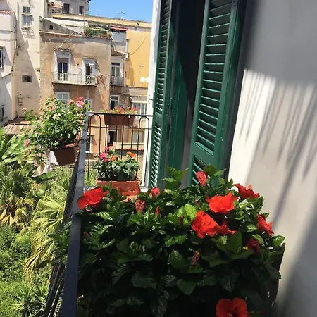 Le Rondini Della Pietrasanta