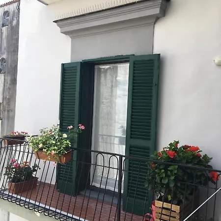 Le Rondini Della Pietrasanta *