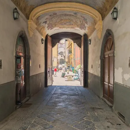 Le Rondini Della Pietrasanta